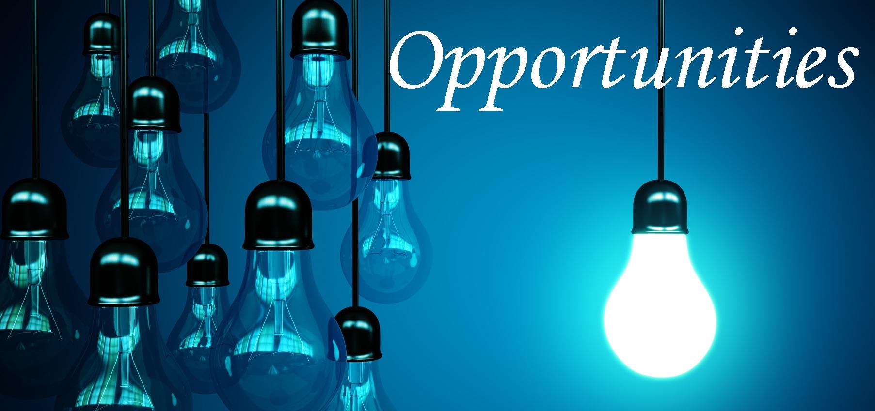 business-opportunity1 business-opportunity1